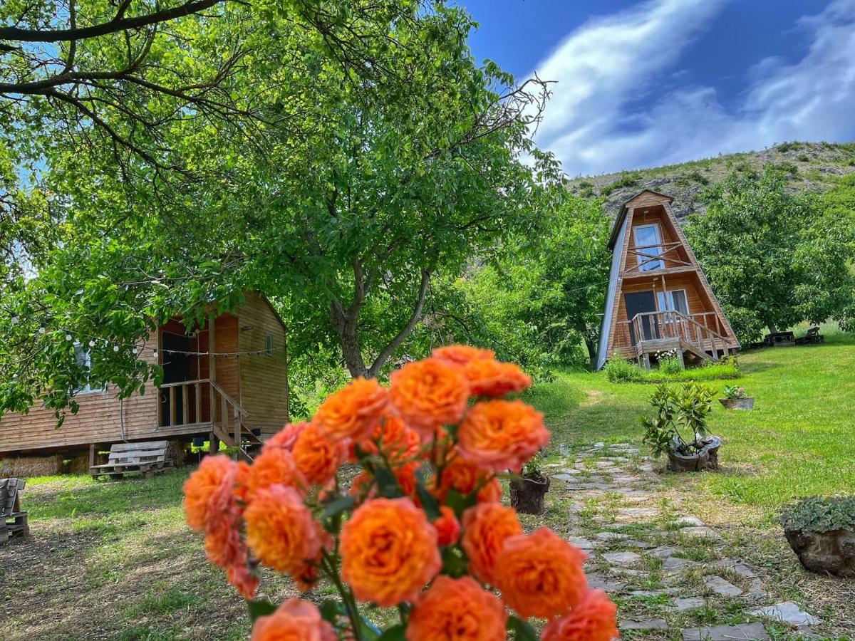 Teo'S Cottages Dedoplis Tskaro Dış mekan fotoğraf
